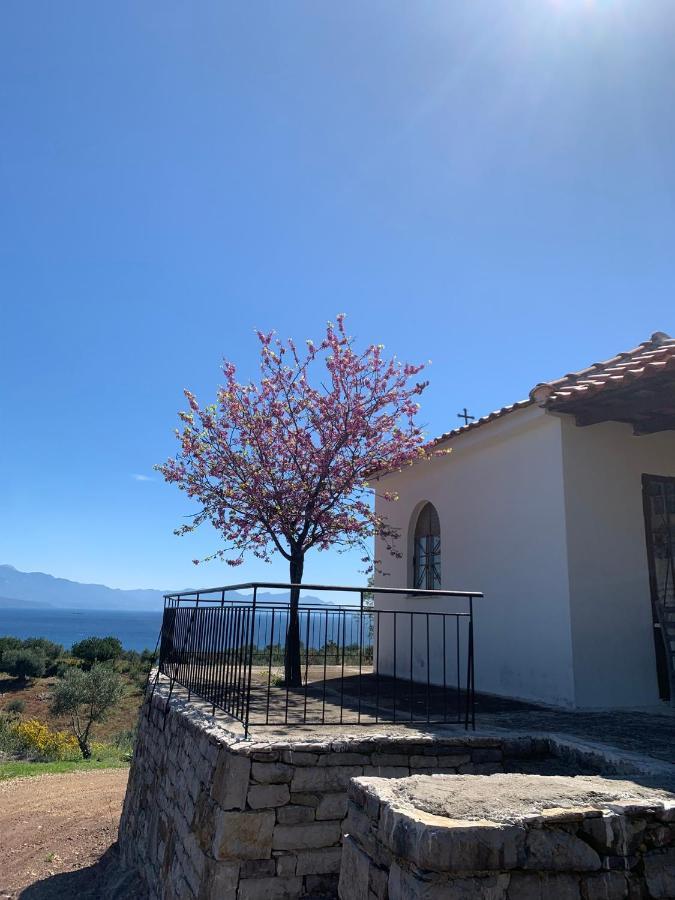 Villa Delfini Chrani Exteriör bild