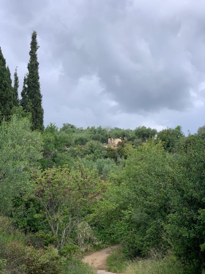 Villa Delfini Chrani Exteriör bild